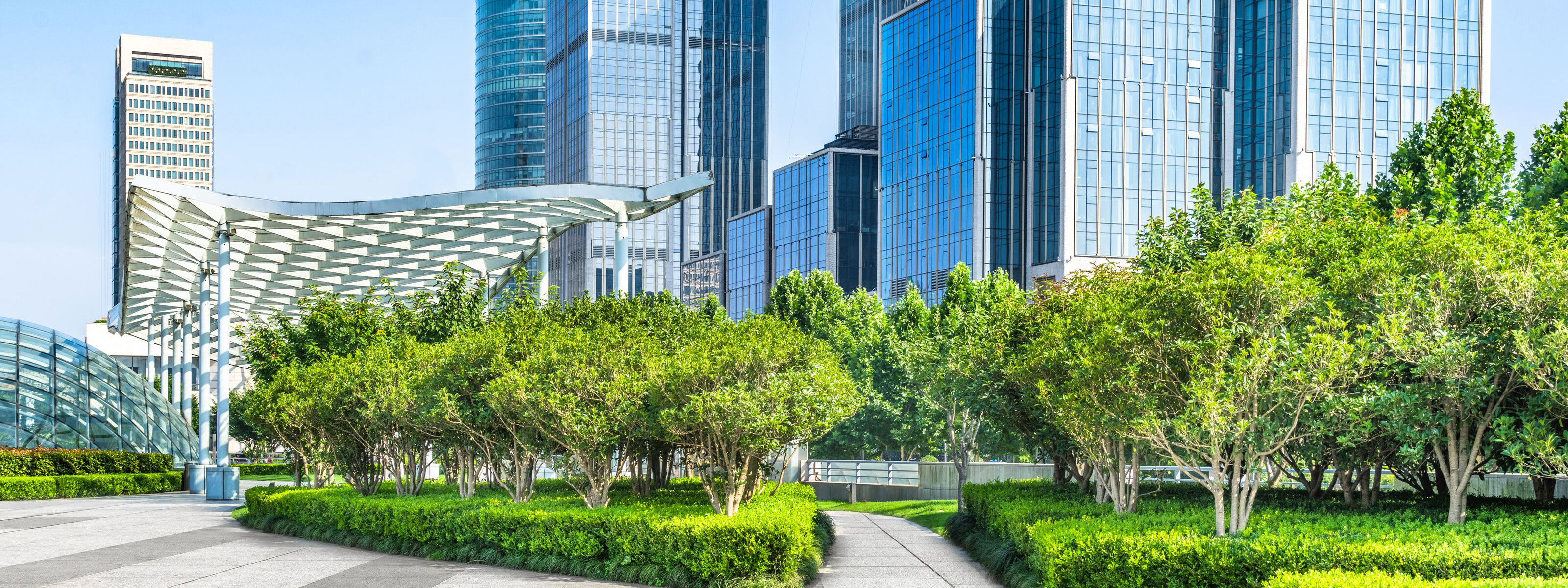 commercial building in a landscape of green trees